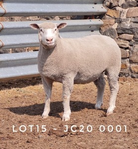 1X EWE JC200001 JANCOR IDF STOET