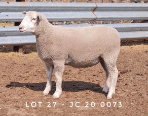 1X EWE JC200073 JANCOR IDF STOET