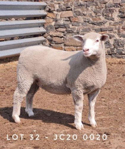 1X EWE JC200020 JANCOR IDF STOET
