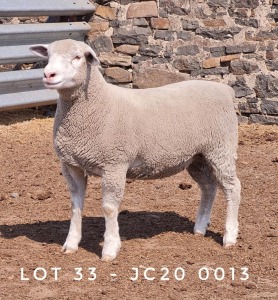 1X EWE JC200013 JANCOR IDF STOET