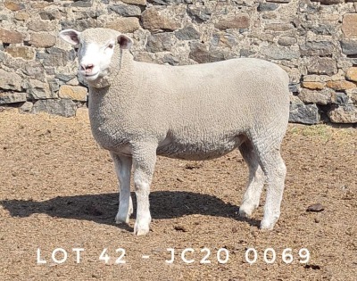 1X EWE JC200069 JANCOR IDF STOET