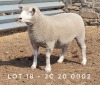 1X EWE JC200002 JANCOR IDF STOET