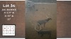 3X SWART ROOIBOK M:3 (Per Piece to take the lot/Per stuk om lot te neem)