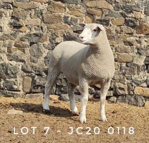 1X EWE JC200118 JANCOR IDF STOET