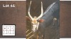 1X NYALA M:1