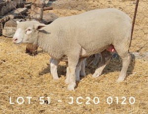 1X EWE JC200120 JANCOR IDF STOET