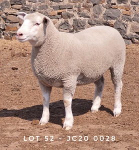 1X EWE JC200028 JANCOR IDF STOET