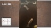 4X BLOUWILDEBEES V/F:4 (Per Piece to take the lot/Per stuk om lot te neem)