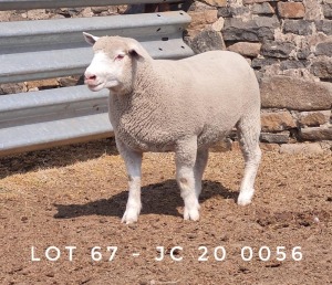 1X EWE JC200056 JANCOR IDF STOET