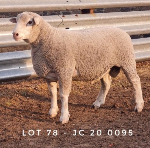 1X RAM JC200095 JANCOR IDF STOET