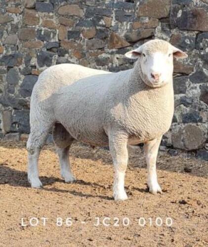 1X RAM JC200100 JANCOR IDF STOET