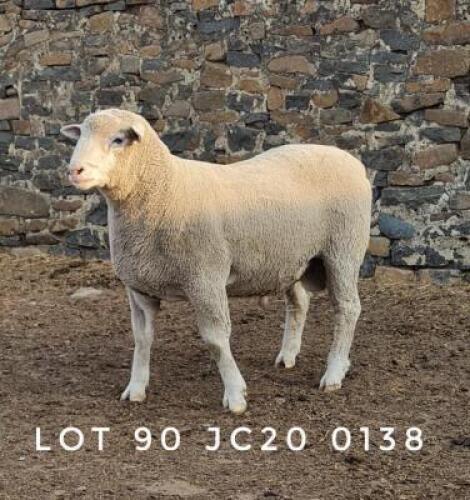1X RAM JC200138 JANCOR IDF STOET
