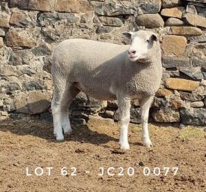 1X EWE JC200077 JANCOR IDF STOET