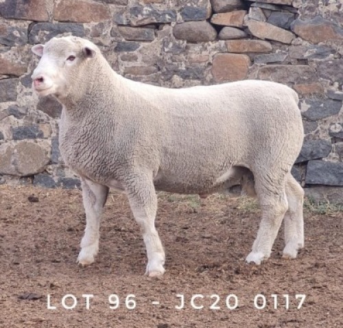 1X RAM JC200117 JANCOR IDF STOET