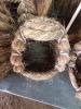 3 X NEST TIEGERPOORT DORPERS (Per animal to take the lot)
