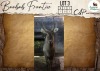 1 X Waterbuck M:1 Leniesrus Wildsplaas