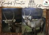 1 X Waterbuck M:1 Leniesrus Wildsplaas