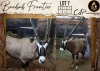 1 X Oryx M:1 Aden Game Farm