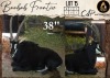1 X Sable M:1 Aden Game Farm