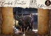 1 X Nyala M:1 Aden Game Farm