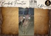 1 X Impala M:1 Aden Game Farm