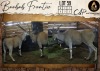 3 X Livingstone Eland V/F:3 Aden Game Farm (Per Piece to take the lot/Per stuk om lot te neem)