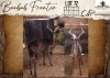 2 X Black Impala M:2 Hunters Creek Safari Outfitters (Per Piece to take the lot/Per stuk om lot te neem)