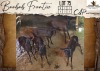 5 X Black Impala V/F:5 Hunters Creek Safari Outfitters (Per Piece to take the lot/Per stuk om lot te neem)