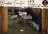 4 X Oryx M:2 V/F:2 Aden Game Farm (Per Piece to take the lot/Per stuk om lot te neem)