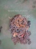 1 X LOOSE CHAINS / BUNBLE Fanie Grobler