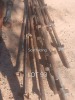1 X SCAFFOLDING Fanie Grobler