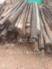 1 X 3M GUM POLES +- 50 Fanie Grobler
