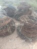 1 X BARBED WIRE BUNBLES Fanie Grobler