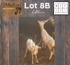 2X Wit Blesbok M:1 F:1 T:2 (Per Piece to take the lot/Per stuk om lot te neem)