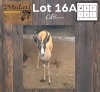 1X Koper Springbok M:1