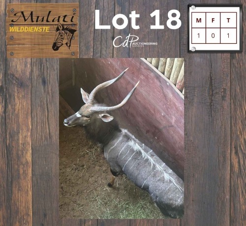 1X Njala M:1