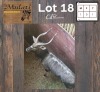 1X Njala M:1