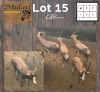 5X Blesbok M:1 V/F:4 (Per Piece to take the lot/Per stuk om lot te neem)