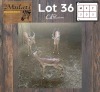3X Rooibok M:3 (Per Piece to take the lot/Per stuk om lot te neem)