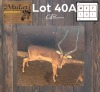 1X Rooibok M:1
