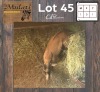 1X Koper Springbok M:1