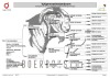 1 X BOER GOAT STUD 52-24 PREGNANT DOE F2 Boerbokstoet - 2