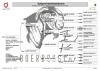 1 X BOER GOAT FLOCK ON COLOUR 52-60 PREGNANT DOE F2 Boerbokstoet - 2