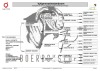 1 X BOER GOAT FLOCK ON TEAT 52-57 PREGNANT DOE F2 Boerbokstoet - 2