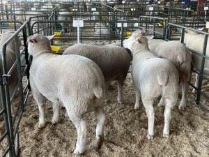 5X EWES COMMERCIAL HAGELAND ILE DE FRANCE PTY LTD (PER PIECE TO TAKE THE LOT)