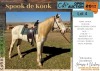 1 X SPOOK DE KOOK HORSE GELDING IG ERASMUS