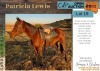 1 X PATRICIA LEWIS HORSE MARE STEYN VAN STADEN