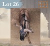 1 X Bluewildebeest M:1 Legend Wildlife Swartruggens