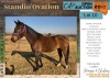 1 X STANDIN' OVATION HORSE MARE LIVESTOCK 88 84 PTY LTD.