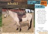 1 X KHAKI HORSE GELDING JAREC BOERDERY